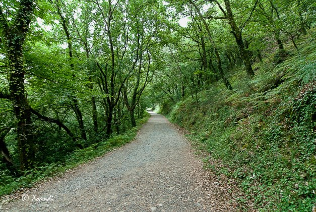 Camiño da Fervenza do Toxa (Galicia)