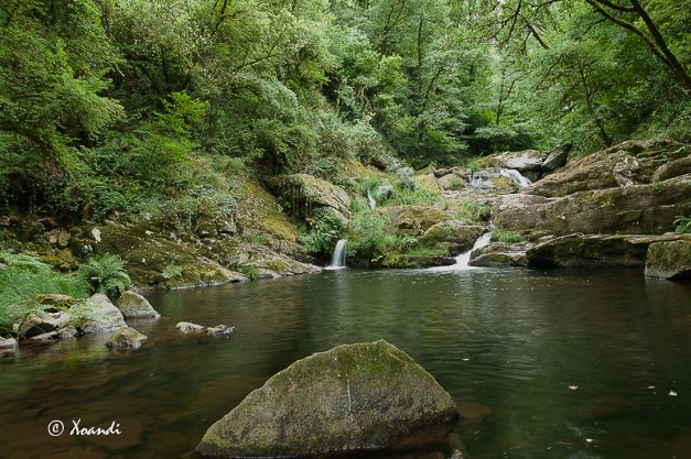 Río Toxa (Galicia)