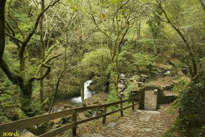 Antiguo molino del Monasterio de Caav