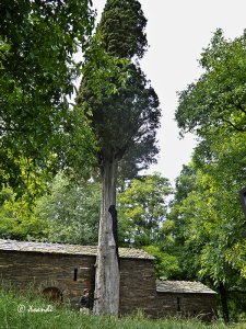 Ermita prerrománica 