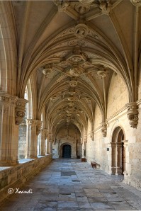 H.MonasterioSanZoiloCarrión(Palencia)9