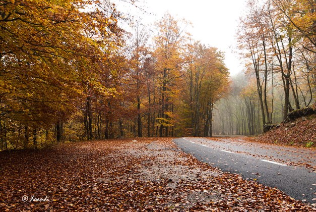Otoño en el Montseny (Barcelona)